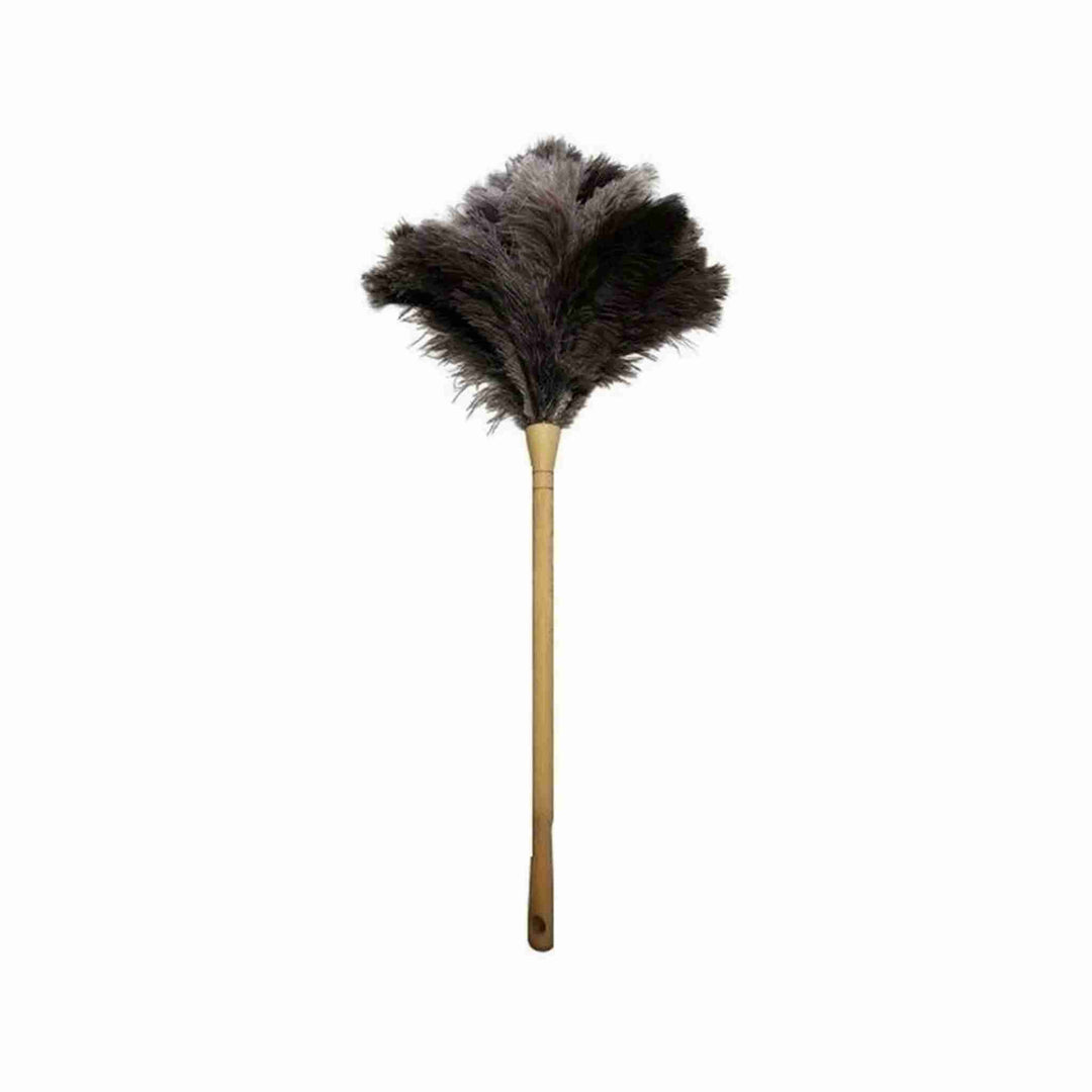 Knox afstøver med ægte strudsefjer, 77 cm, 1 stk. Effektiv til støv og spindelvæv. Træhåndtag for solidt og behageligt greb.