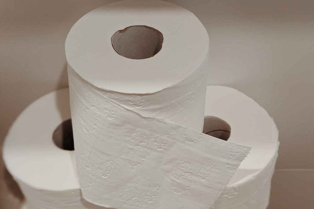 Svanemærket toiletpapir – bæredygtighed og kvalitet til erhverv