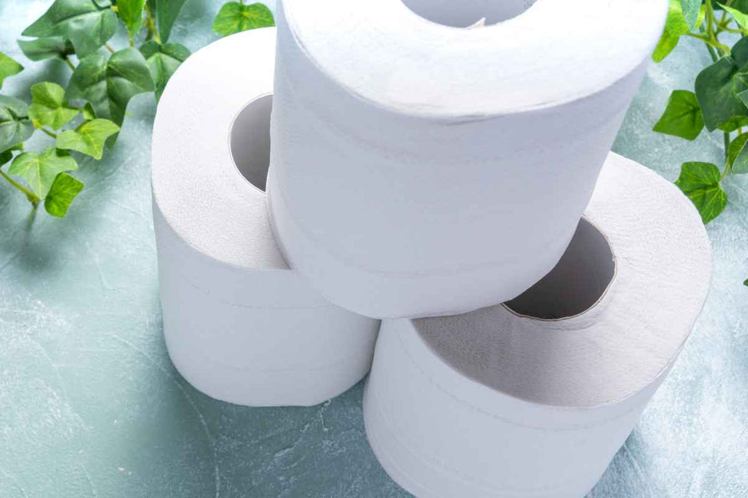 Svanemærket toiletpapir – bæredygtighed og kvalitet går hånd i hånd