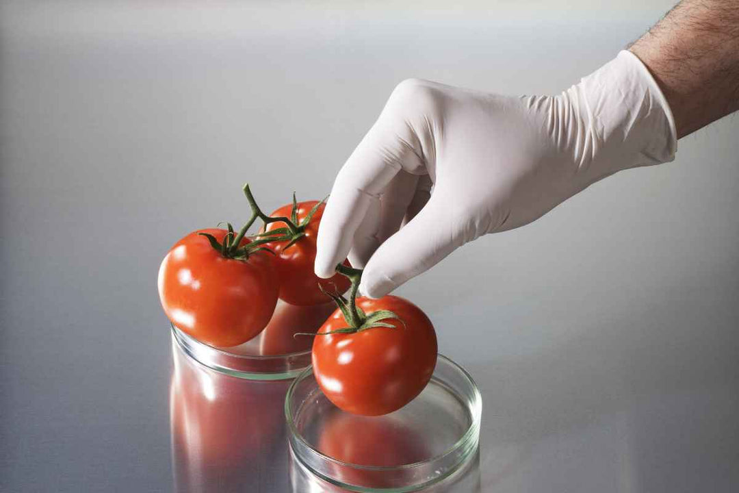 Latex handsker til fødevarer – sikkerhed, hygiejne og komfort i ét